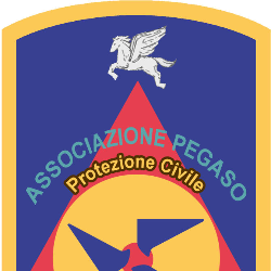 Associazione PEGASO onlus
