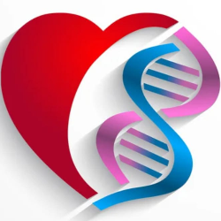 GLI ANGELI DEL SORRISO