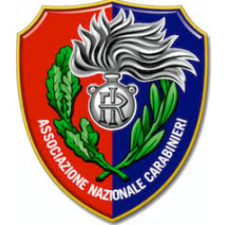 ASSOCIAZIONE NAZIONALE CARABINIERI SEZIONE DI SETTIMO T.SE GRUPPO ODV